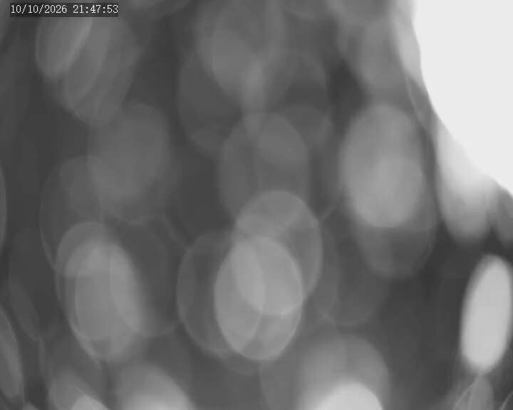 Ridge Run webcam at Apex Mountain