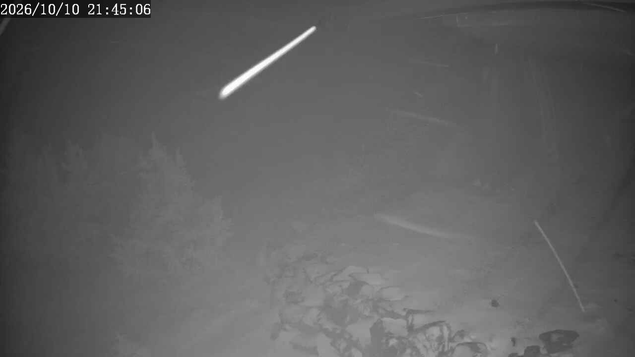 Top of the Quad webcam at Apex Mountain