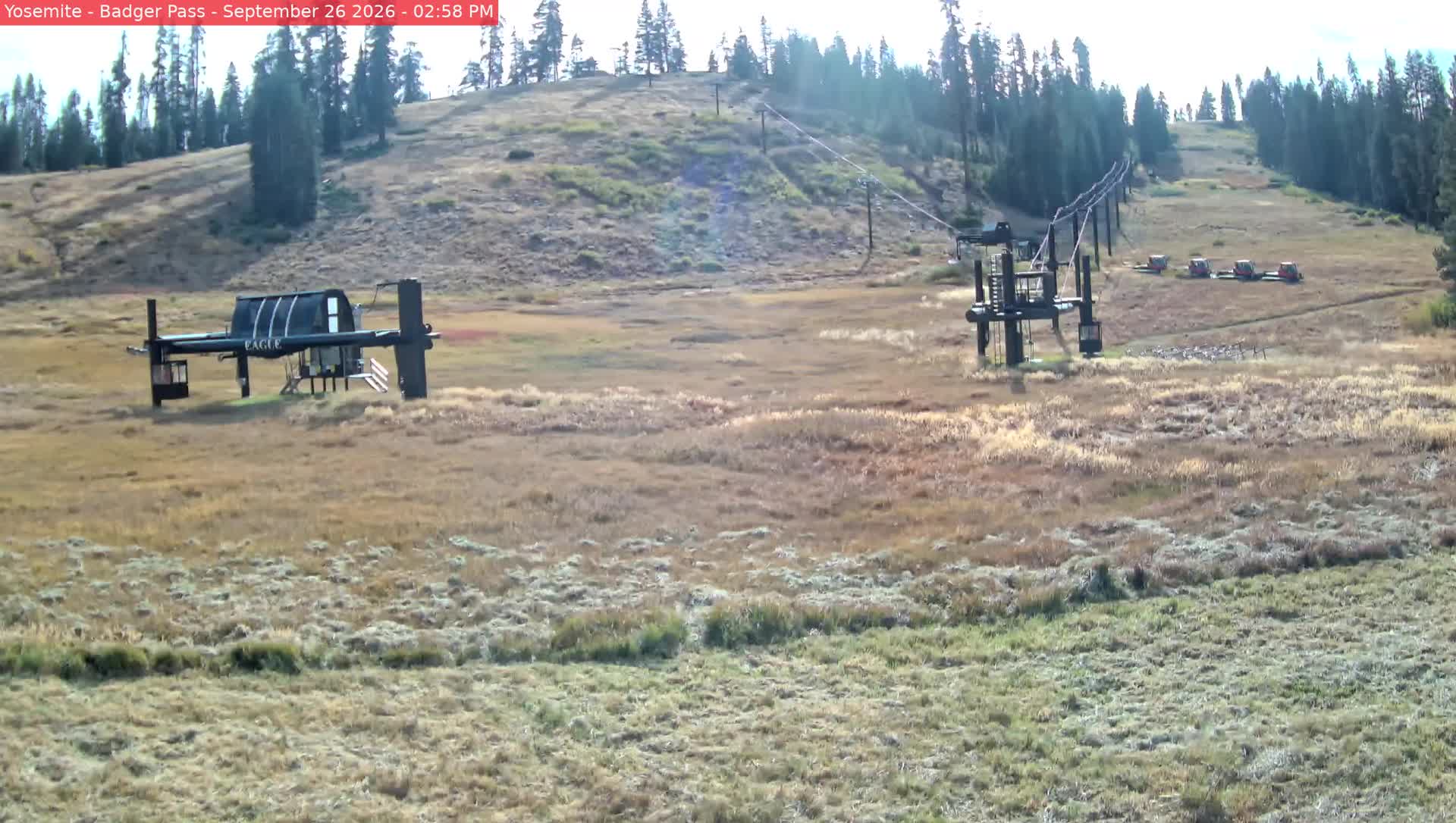 Eagle Chair webcam at Badger Pass