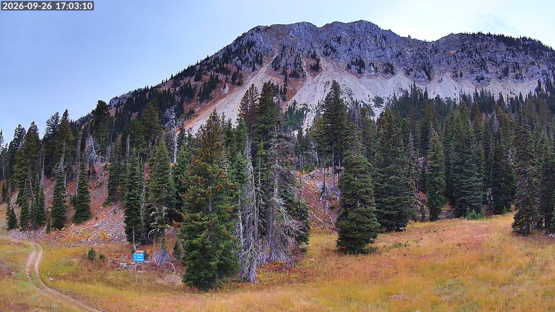 Alpine Apron webcam at Bridger Bowl