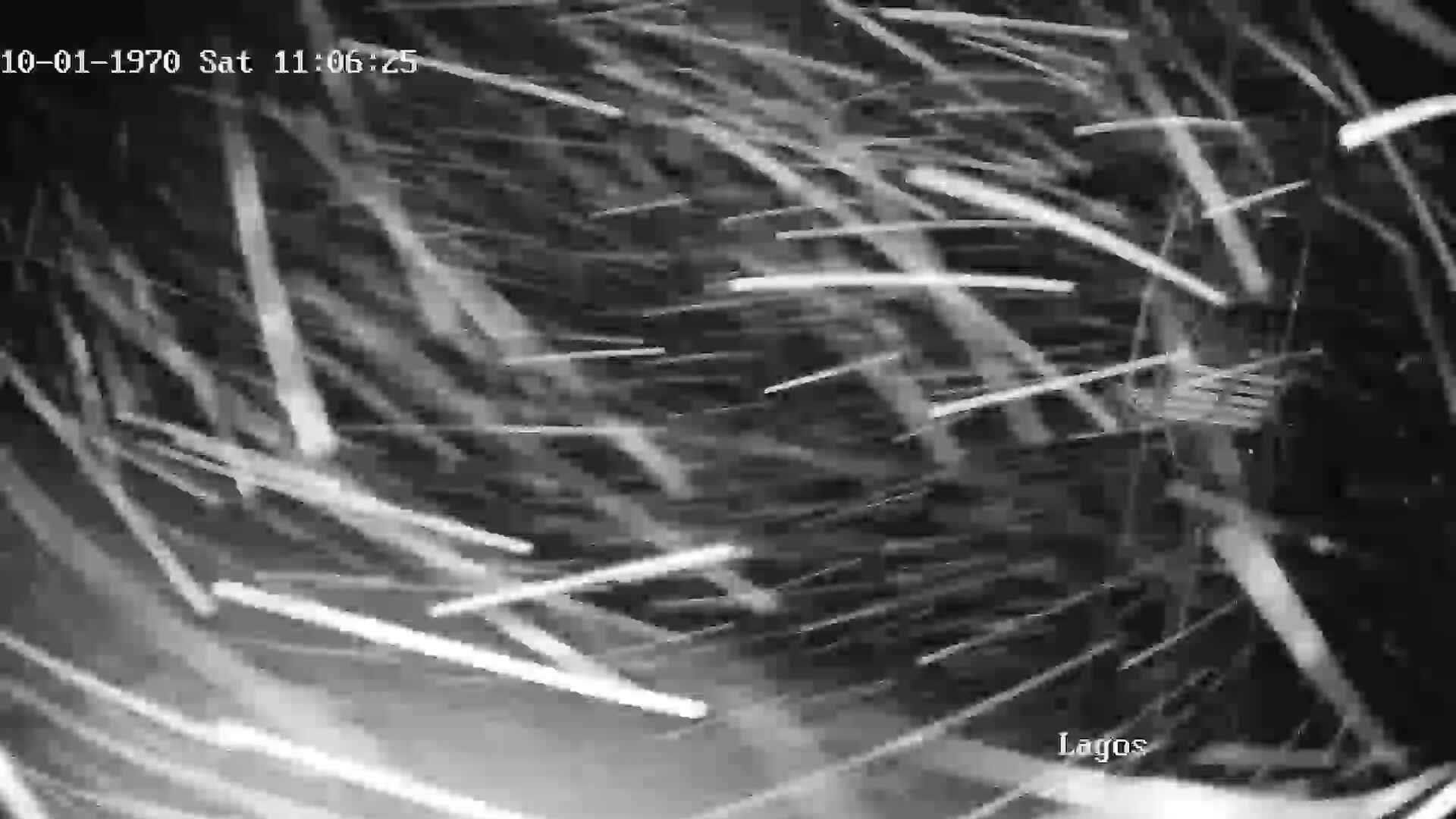 Telesilla Lagos webcam at Cerro Bayo