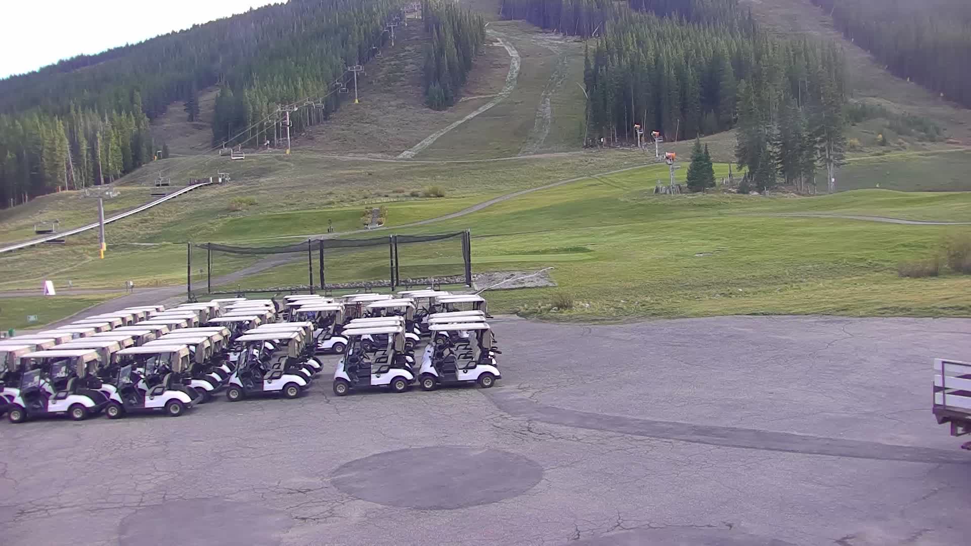 Super Bee webcam at Copper