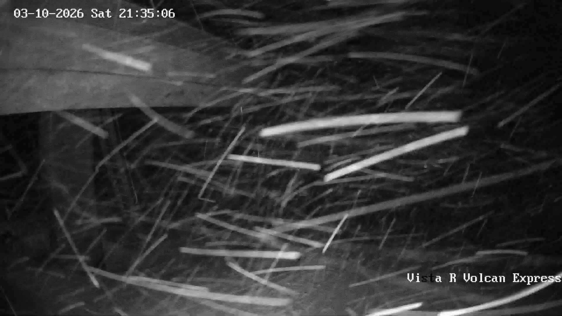 Volcan Express webcam at Corralco