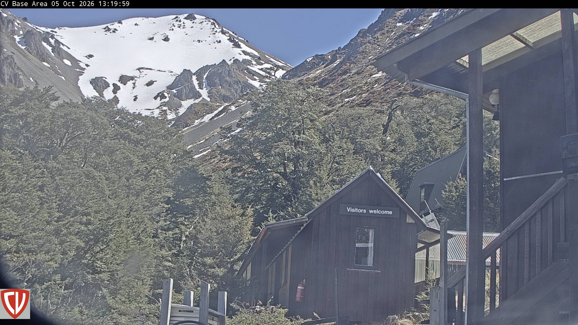 Ngahere webcam at Craigieburn
