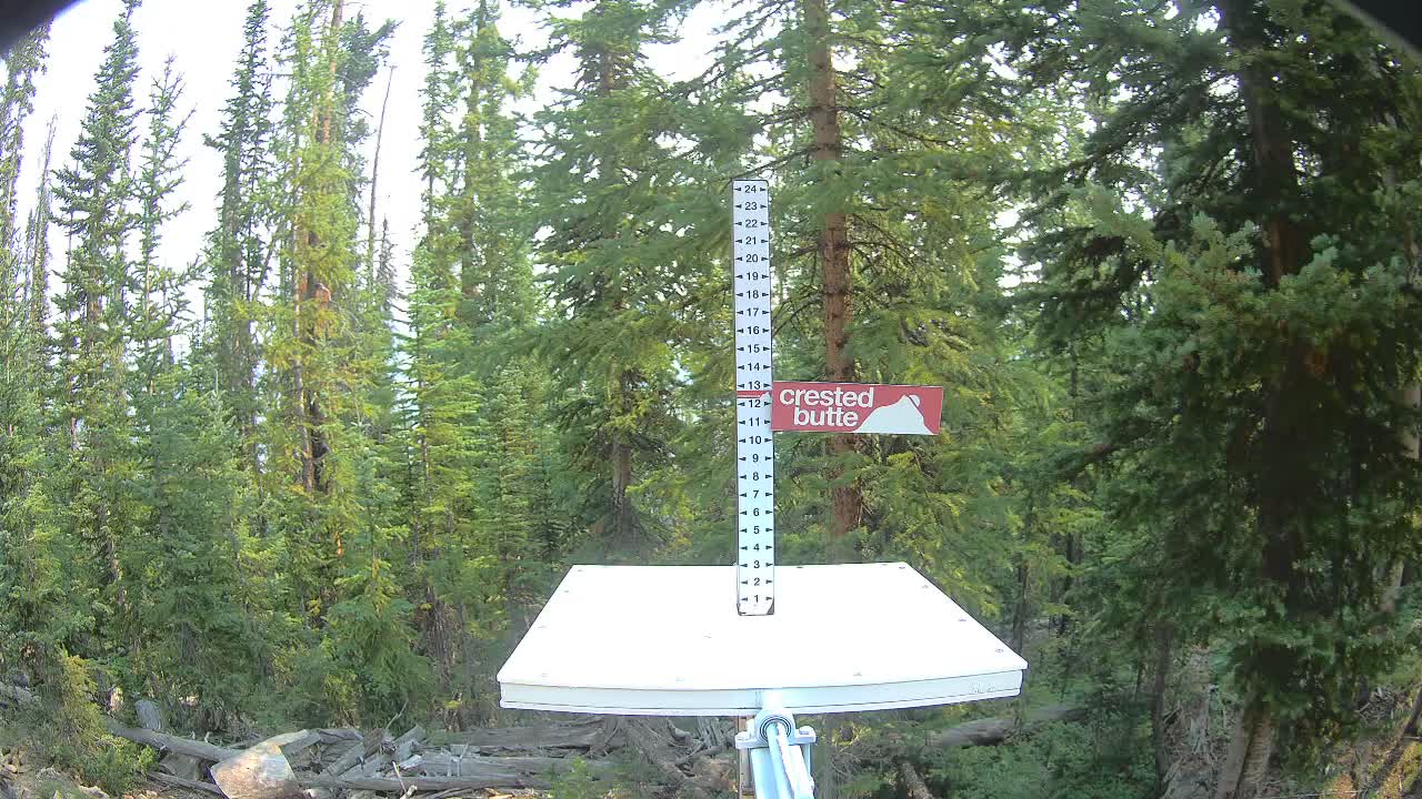 Snowstake webcam at Crested Butte
