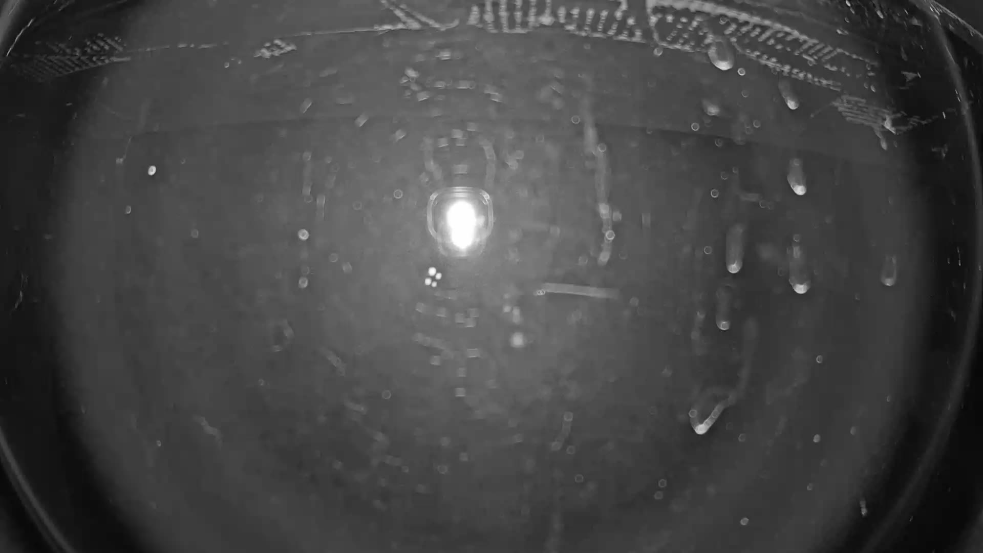 Cliffhaus webcam at Devil's Head