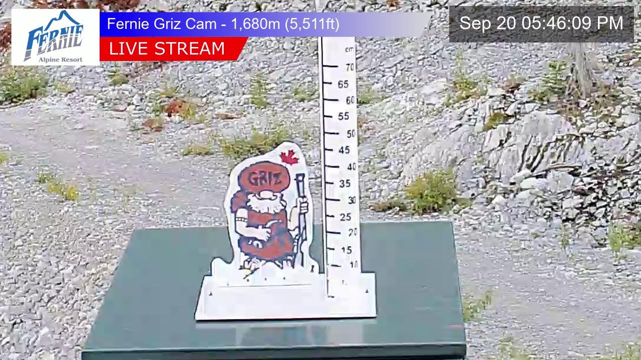 Griz Cam Snowstake webcam at Fernie