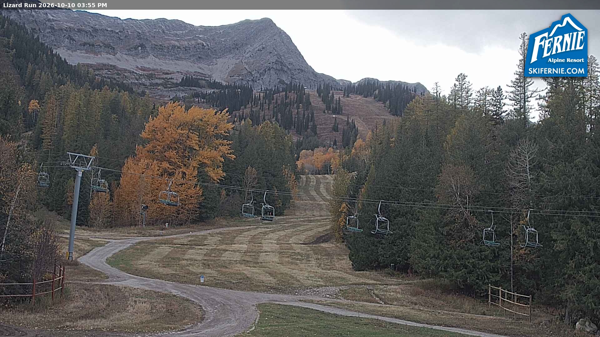 Lizard Run webcam at Fernie