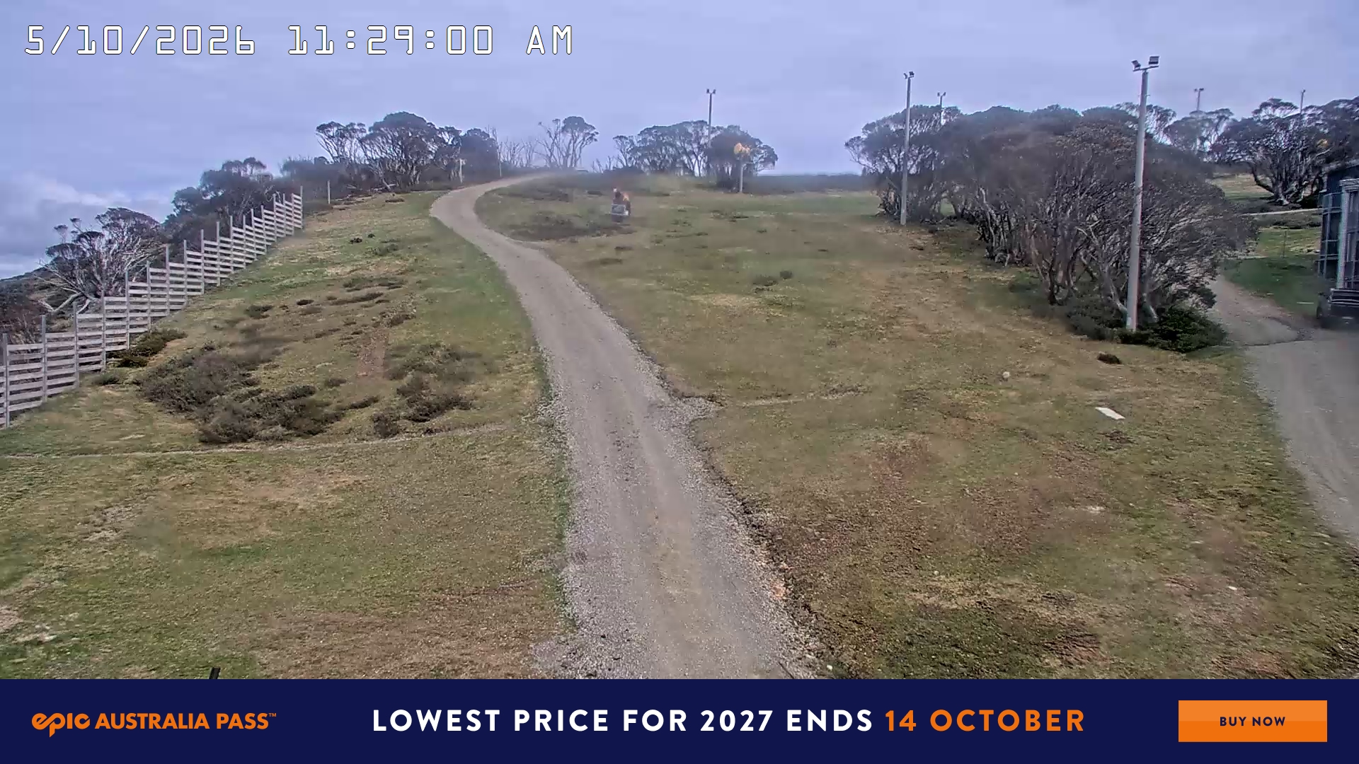 Big D webcam at Hotham