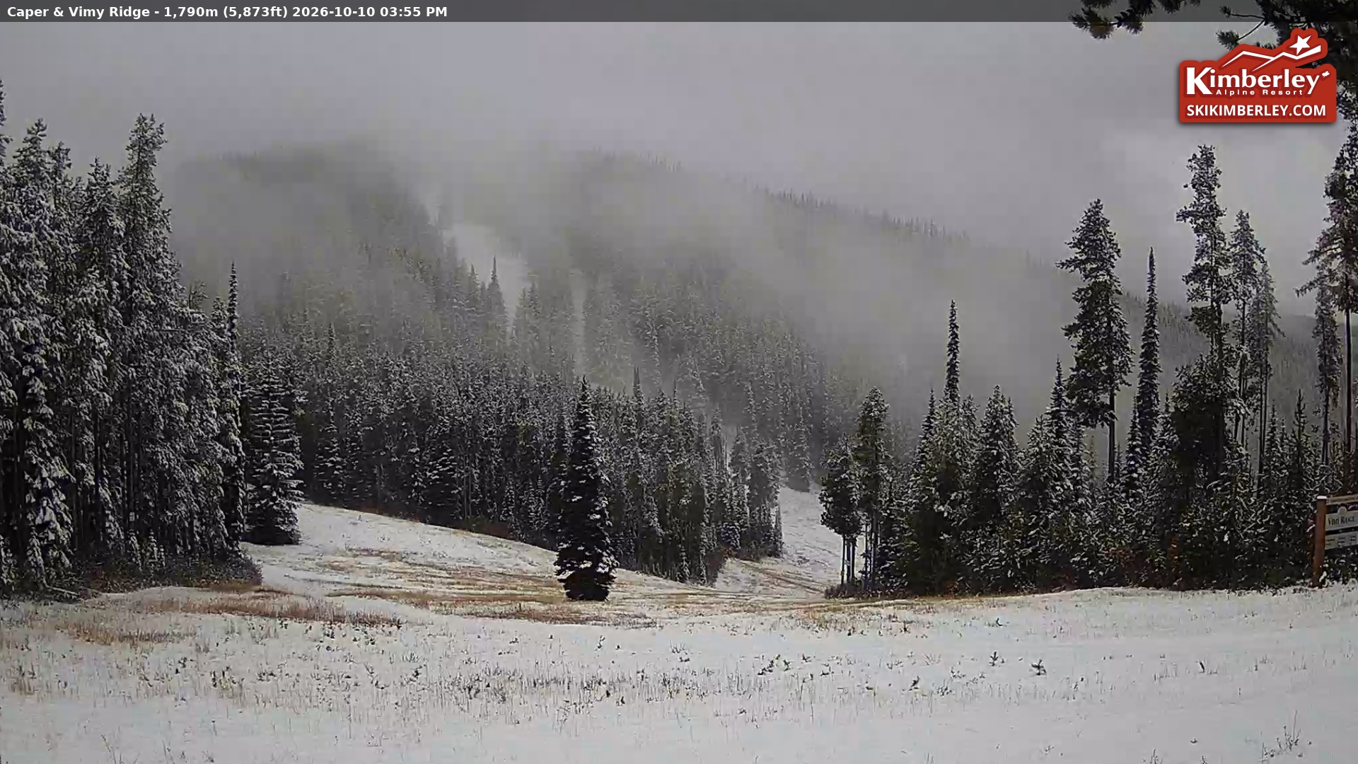 Caper and Vimy Ridge webcam at Kimberley