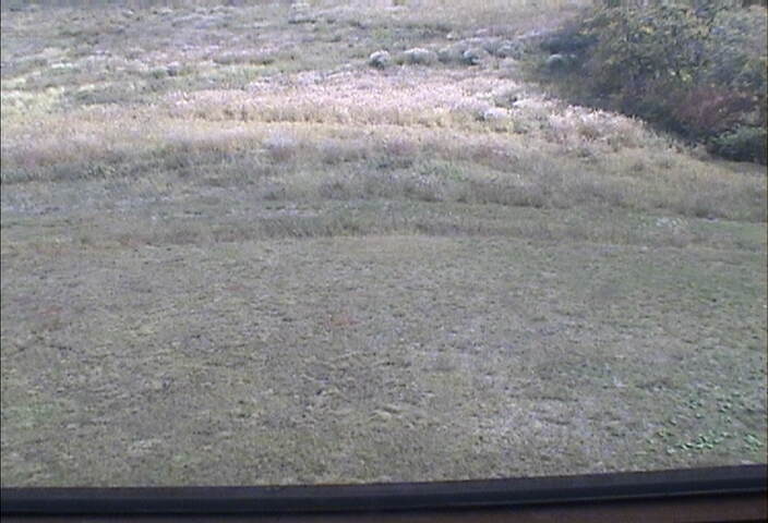 Nagamine 2 webcam at Kiroro