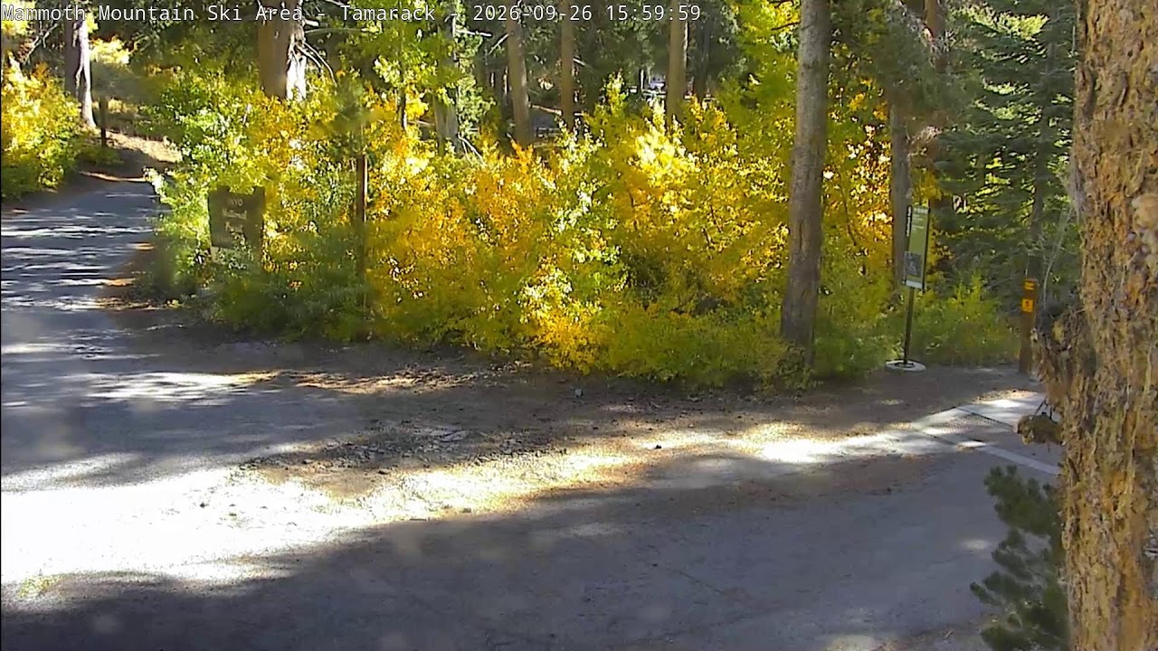 Tamarack Cross Country webcam at Mammoth