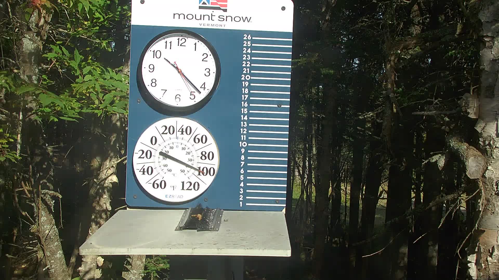 Snow Stake webcam at Mount Snow