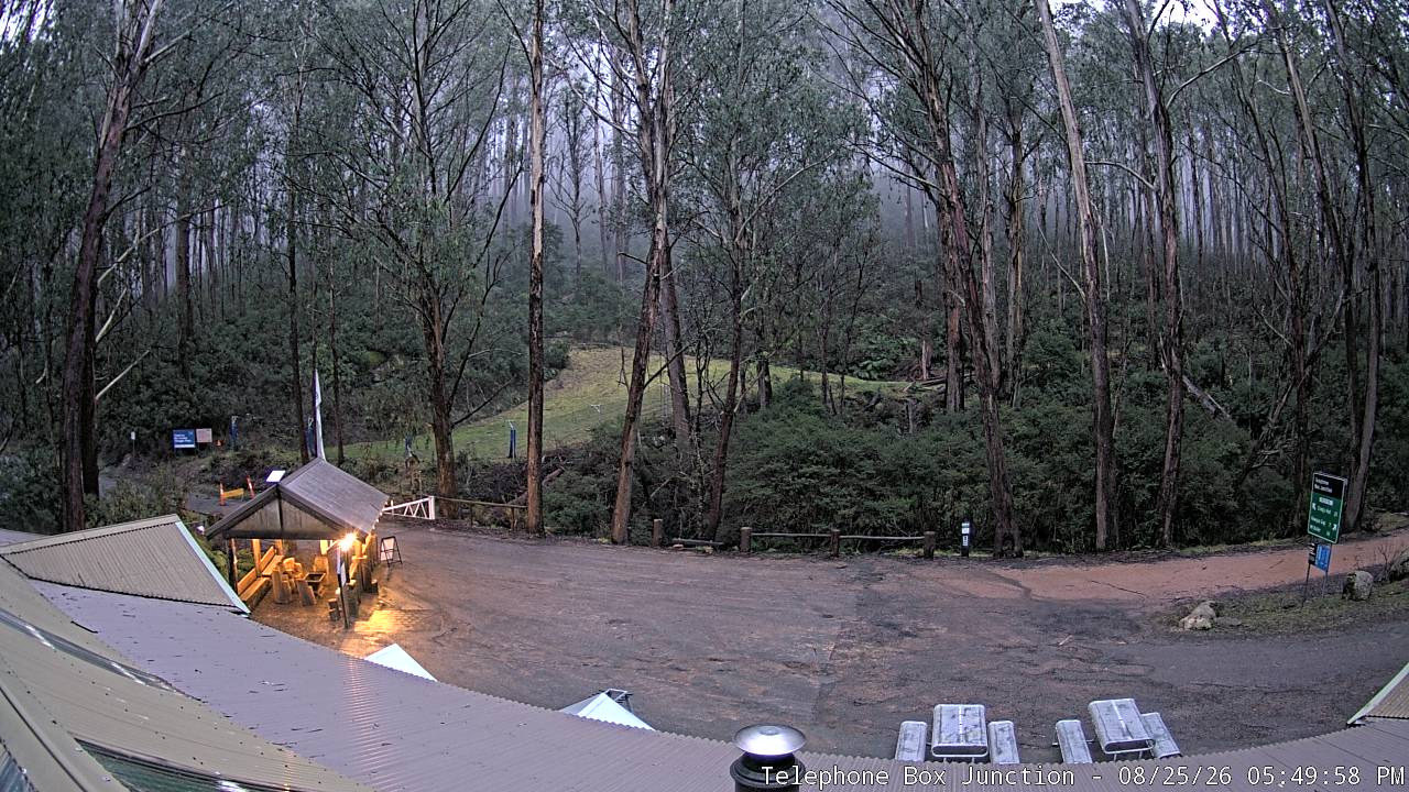 T-Bar Junction webcam at Mt Stirling