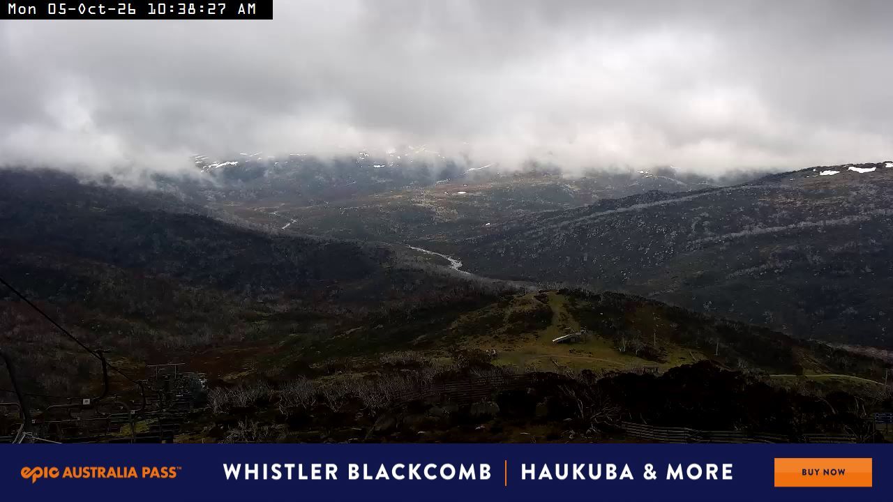 Cow webcam at Perisher