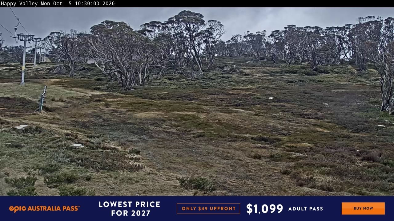 Happy webcam at Perisher