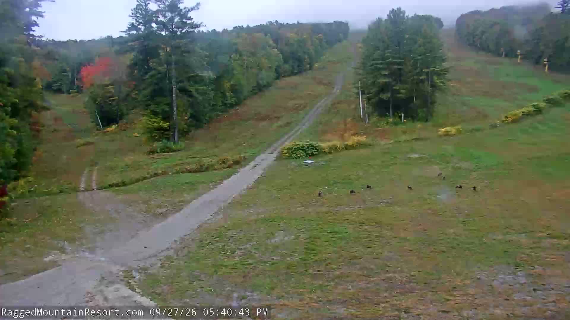Second View webcam at Ragged Mountain