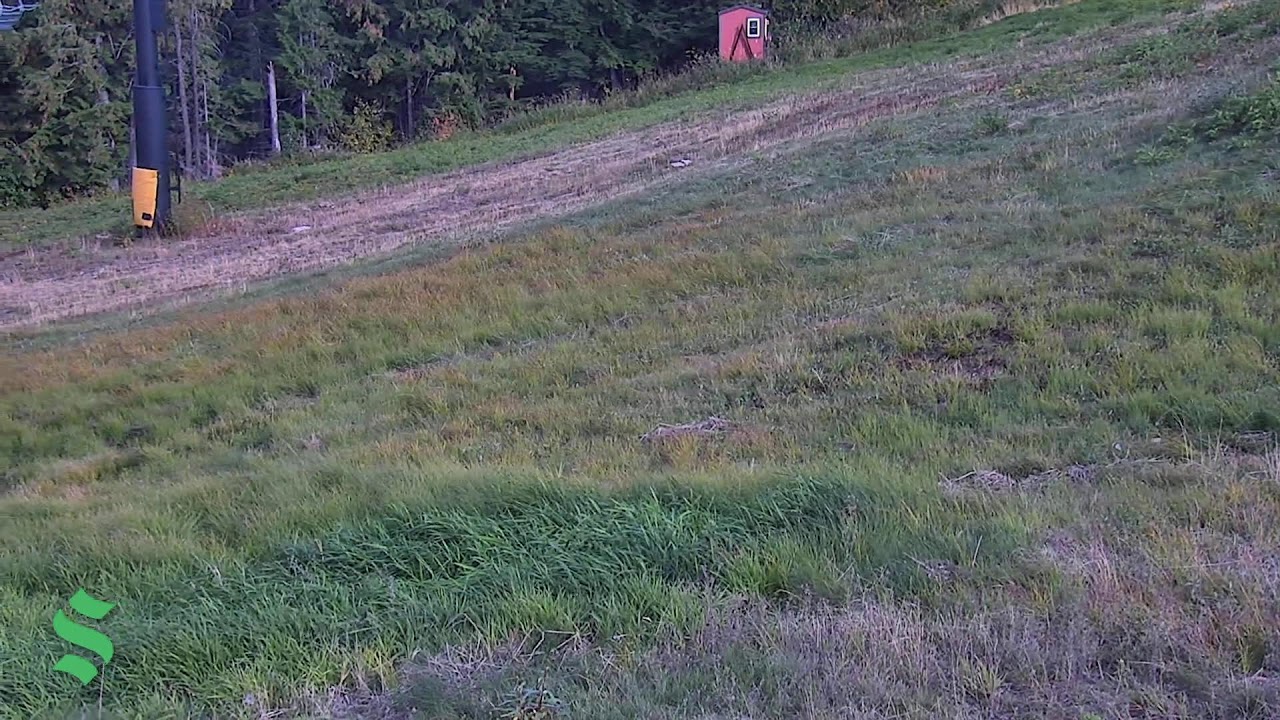 Outback webcam at Schweitzer