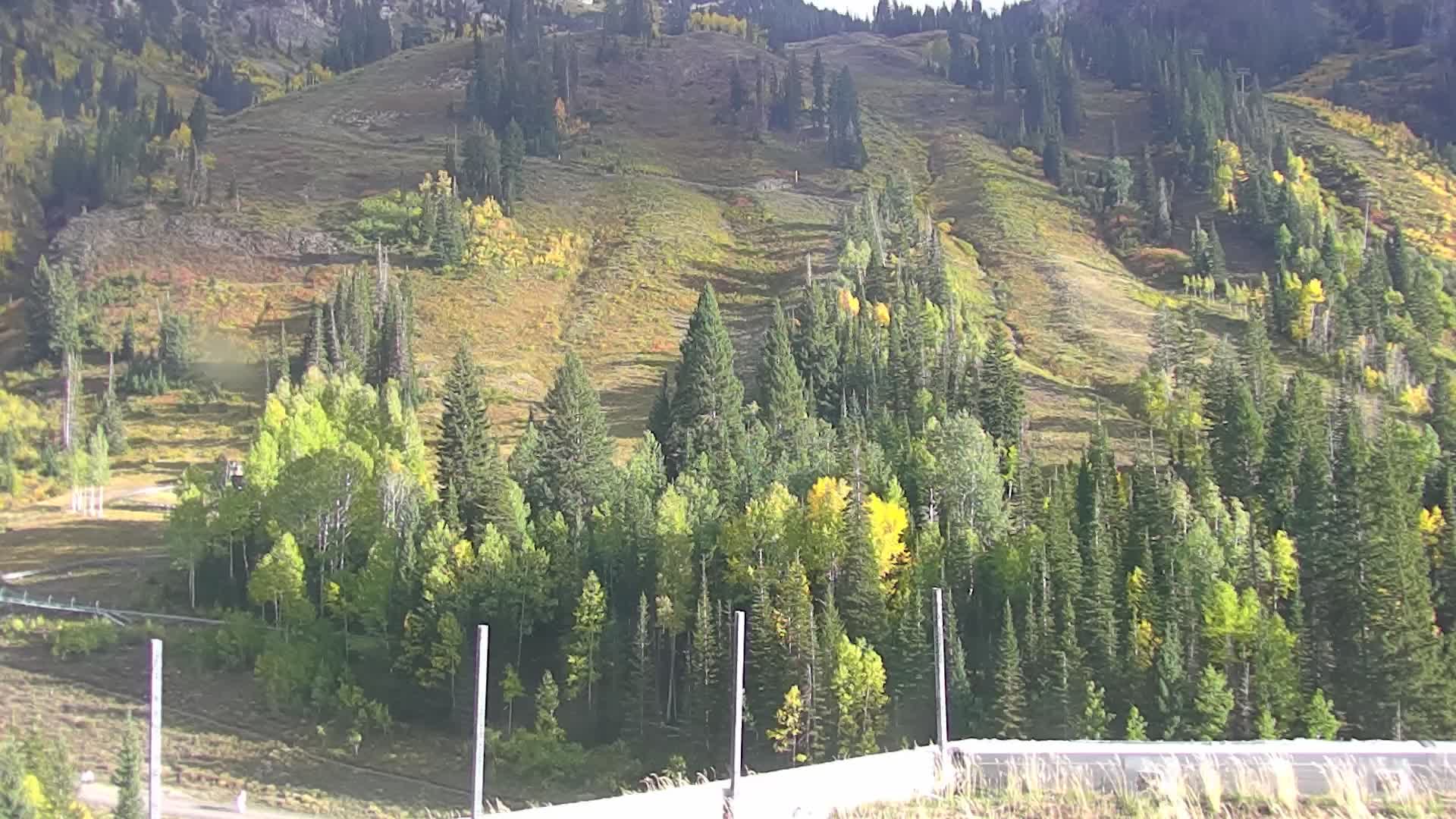 Peruvian Gulch webcam at Snowbird