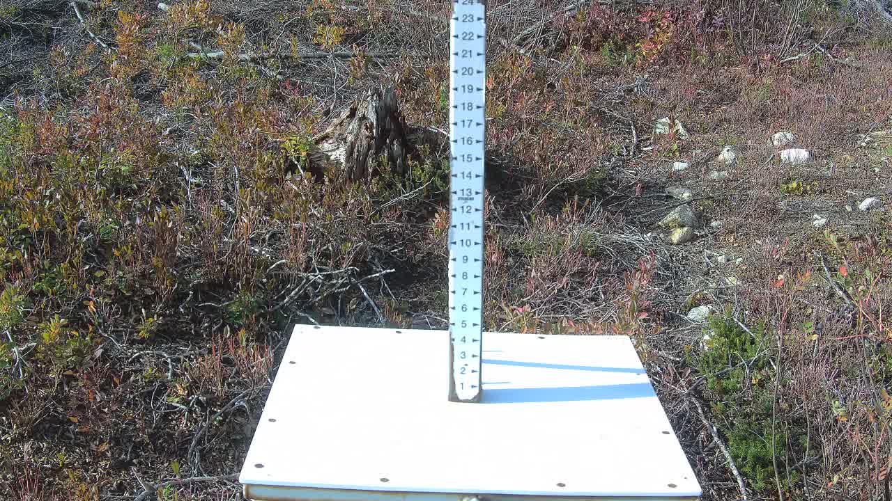 Snow Stake webcam at Stevens Pass