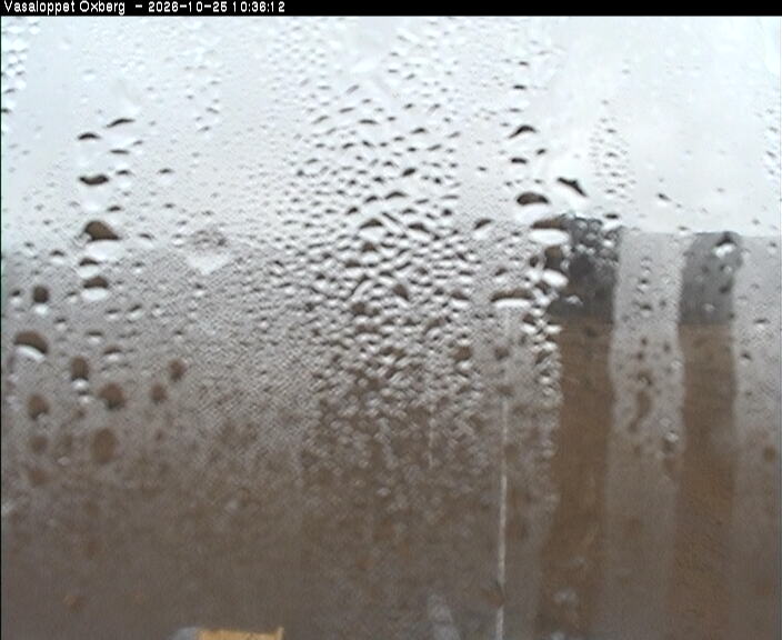 Oxberg webcam at Vasaloppet