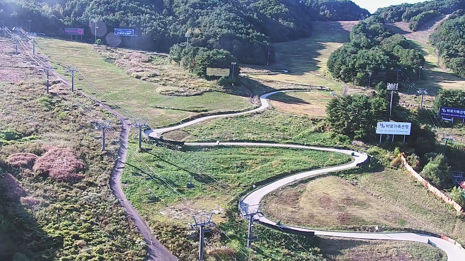 Alpha webcam at WelliHilli Park