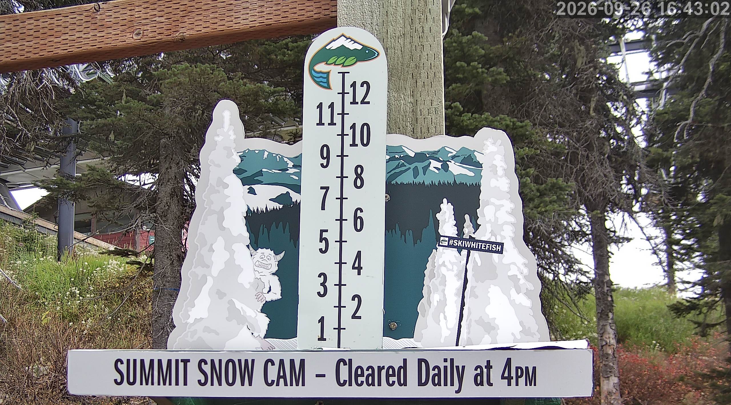 Storm Cam Snow Stake webcam at Whitefish