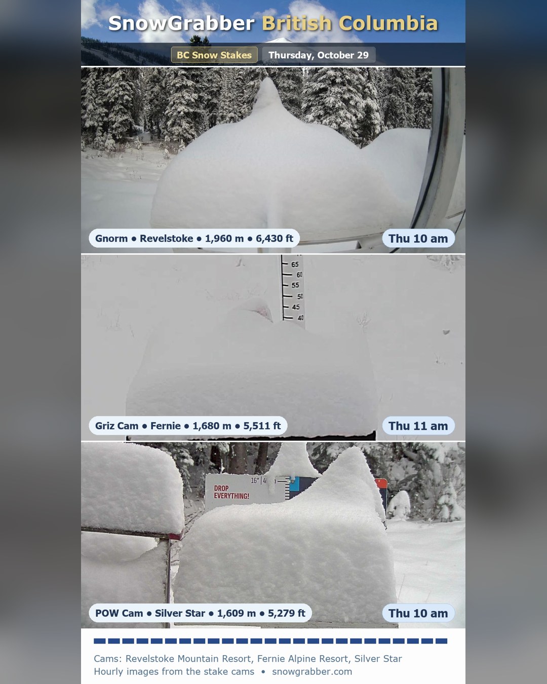 The case of the missing snow stake mascots