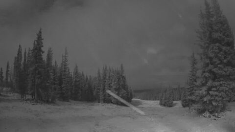 Beaver Creek Red Buffalo webcam