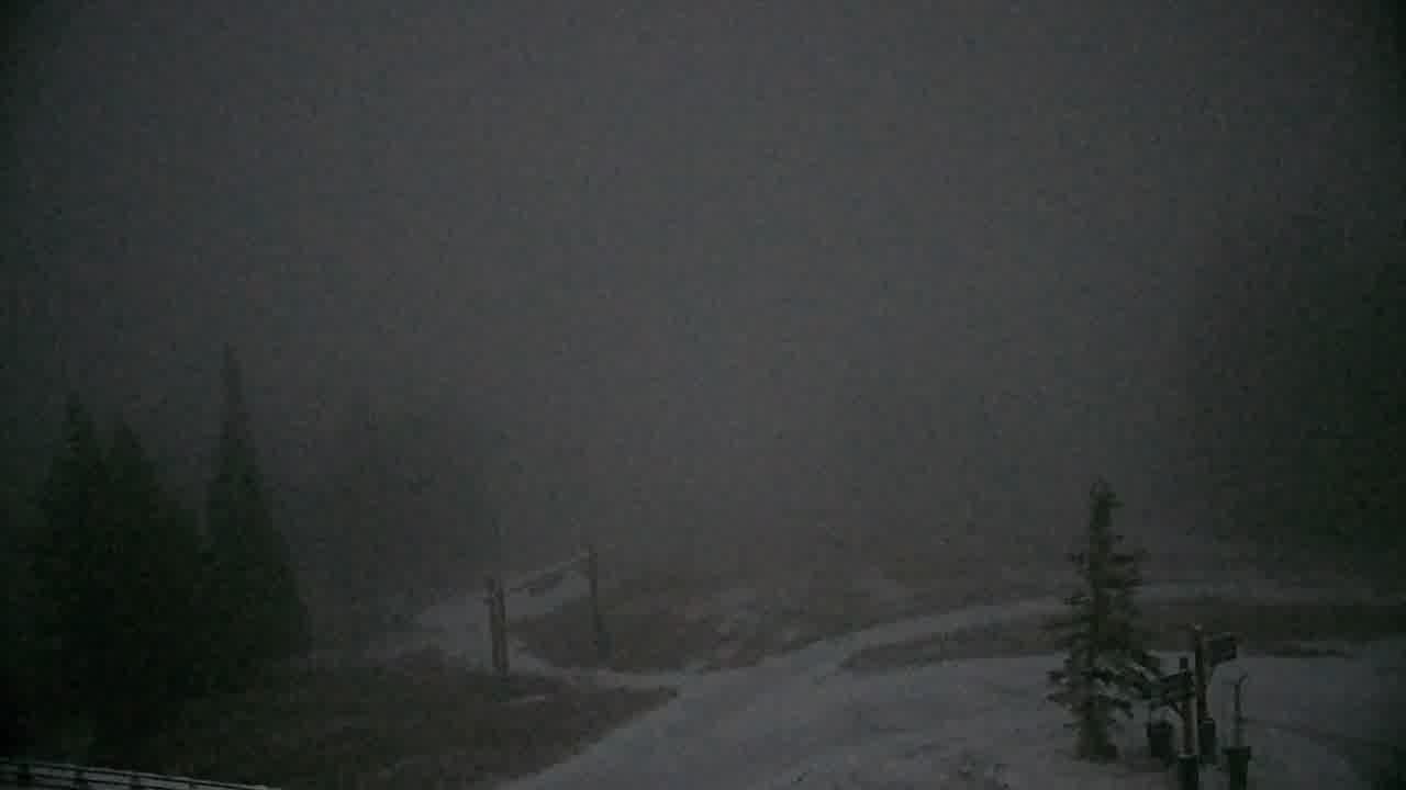 Beaver Creek Spruce Saddle webcam