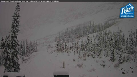 Fernie Lizard Bowl webcam