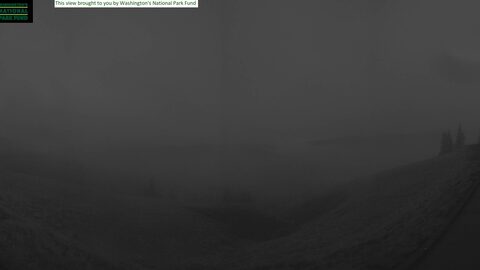Hurricane Ridge Hurricane Ridge Cam webcam