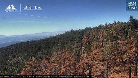 Mount Pinos Mt Abel 2 webcam