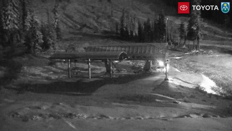 Snowing now at Mt. Hood Meadows