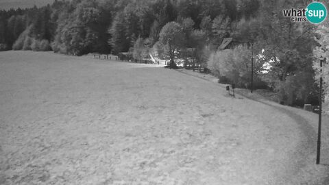 Bonovec Nordic center Bonovec - Medvode webcam