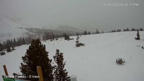 Panorama Goldie Plateau S webcam