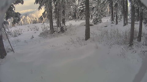 Red Mountain Rosario Snow Stake webcam