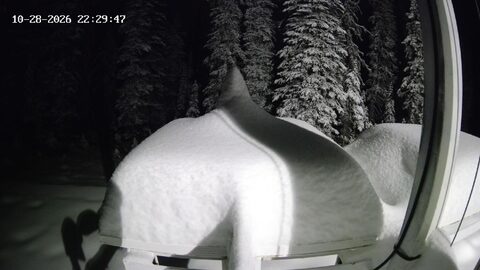Snowing now at Revelstoke
