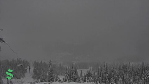 Snowing now at Schweitzer