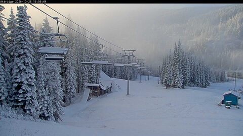 Silver Star Attridge webcam