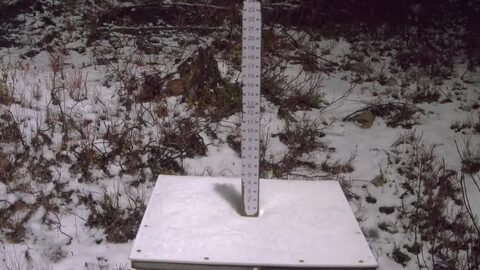 Stevens Pass Snow Stake webcam