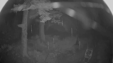 Summit at Snoqualmie Alpental Mid-Mountain webcam