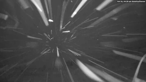 Vail The Back Bowls webcam