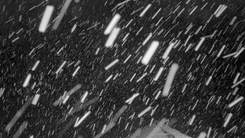 Winter Park Snoasis webcam