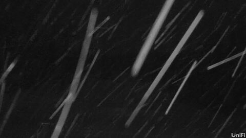Wolf Creek Bottom of Treasure Stoke webcam