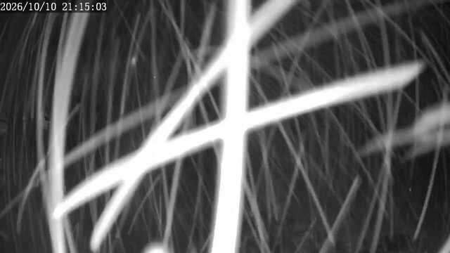 Apex Mountain Top of the Quad webcam