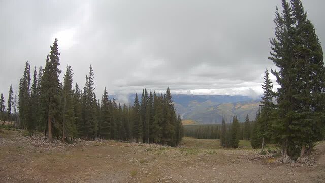 Beaver Creek Red Buffalo webcam