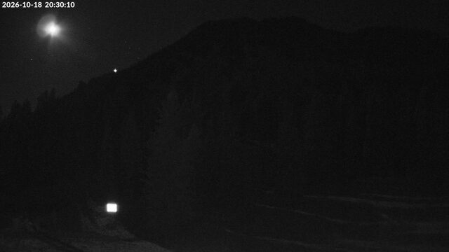 Bridger Bowl Alpine Apron webcam