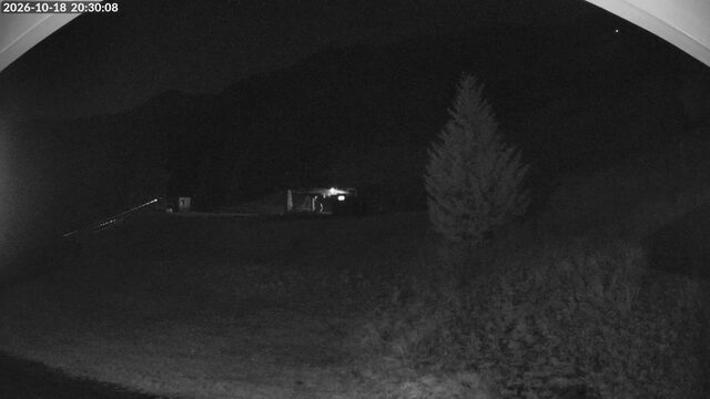 Bridger Bowl Deer Park webcam