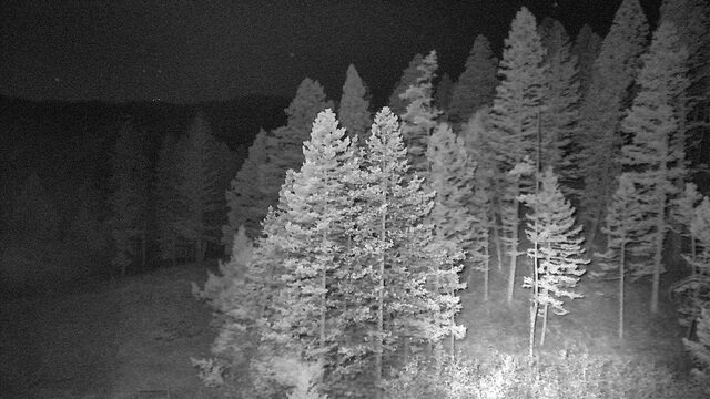 Bridger Bowl MT-86 Bridger Canyon West webcam